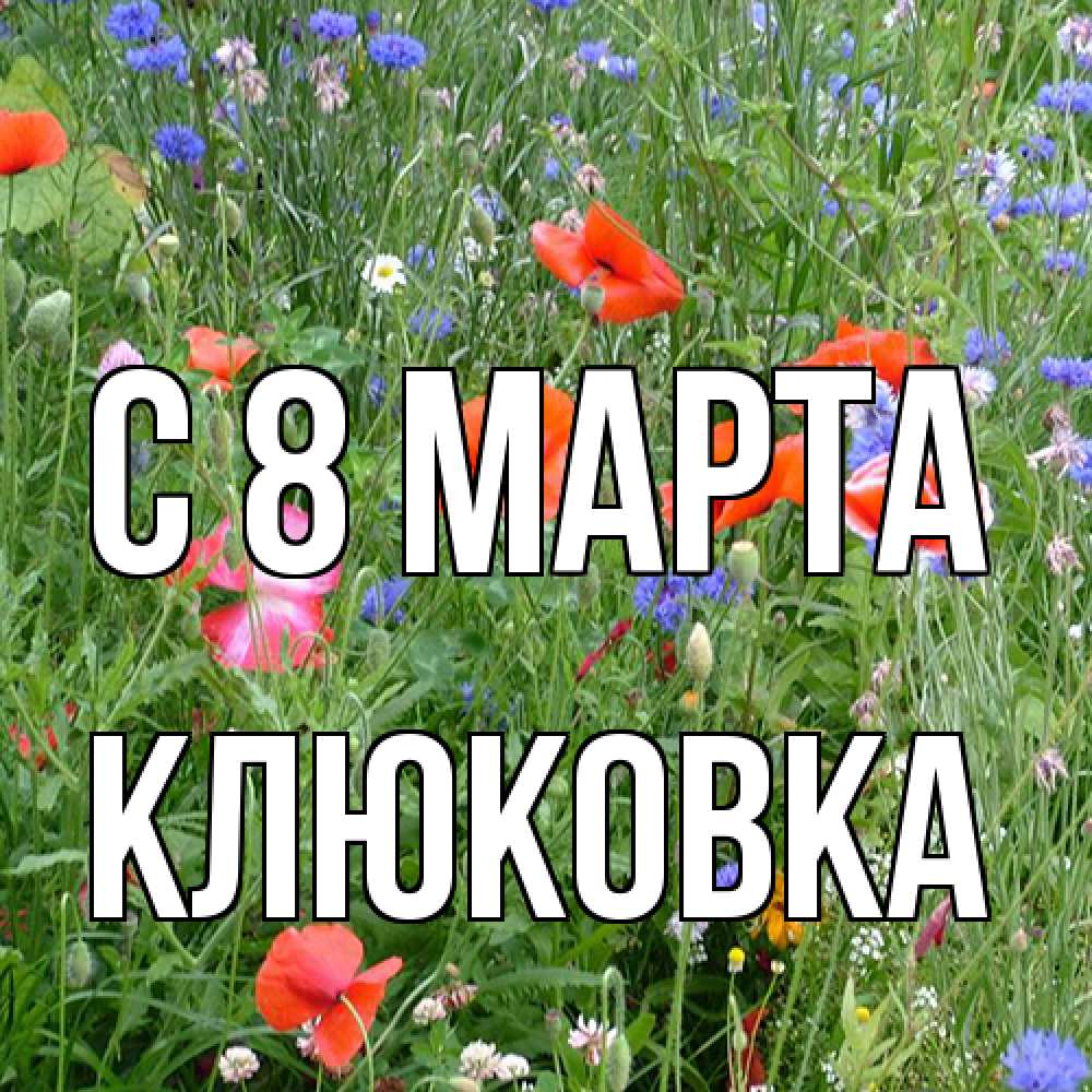 Открытка на каждый день с именем, клюковка C 8 МАРТА международный женский день 4 Прикольная открытка с пожеланием онлайн скачать бесплатно 