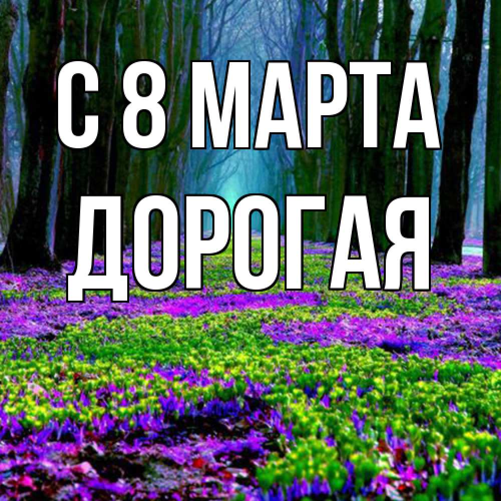 Открытка на каждый день с именем, Дорогая C 8 МАРТА фиолетовые цветы в лесу 1 Прикольная открытка с пожеланием онлайн скачать бесплатно 