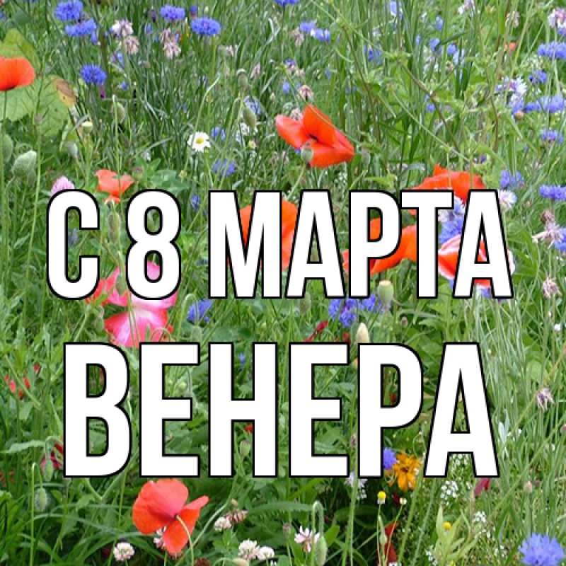 Картинка C 8 МАРТА, Венера