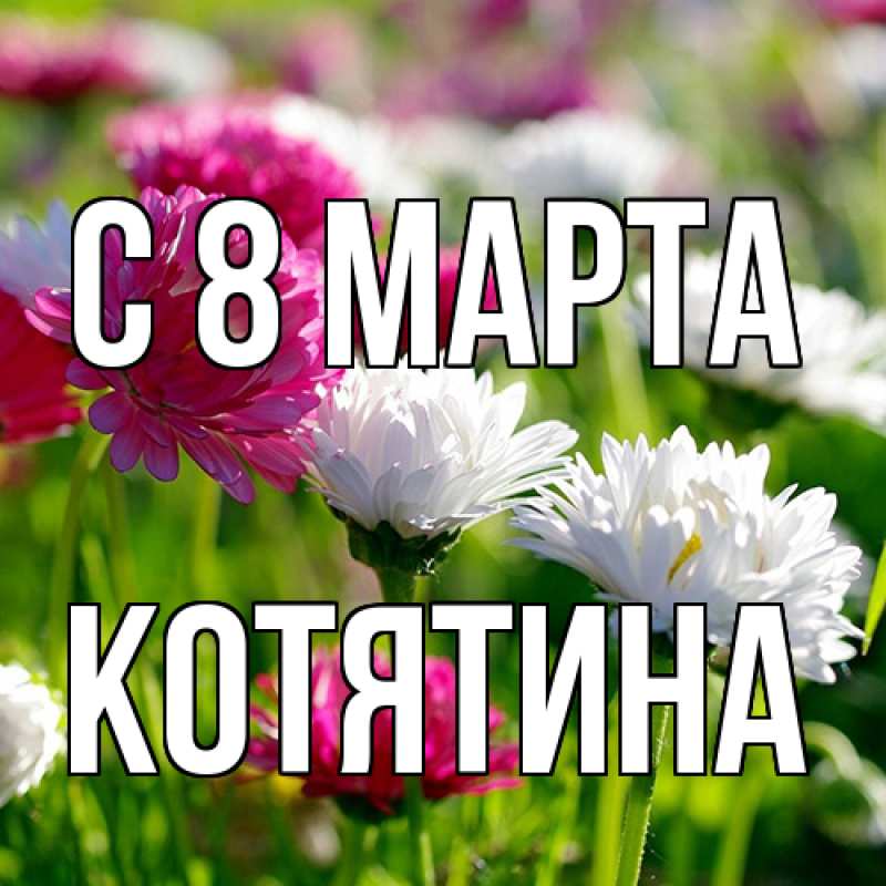 Картинка C 8 МАРТА, Котятина