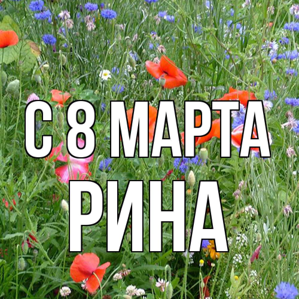 Открытка на каждый день с именем, Рина C 8 МАРТА международный женский день 4 Прикольная открытка с пожеланием онлайн скачать бесплатно 