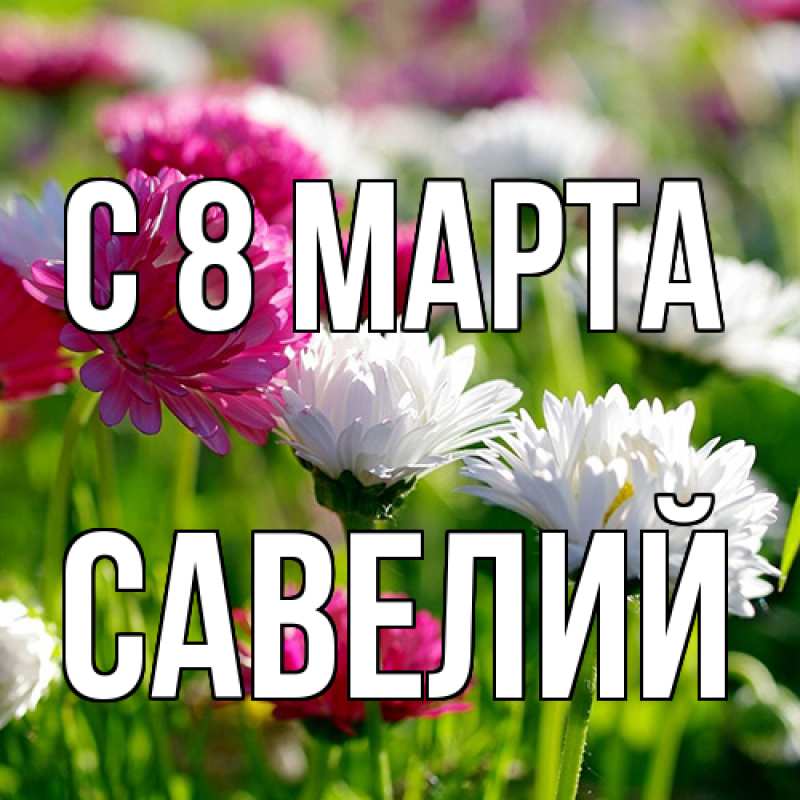 Картинка C 8 МАРТА, Савелий
