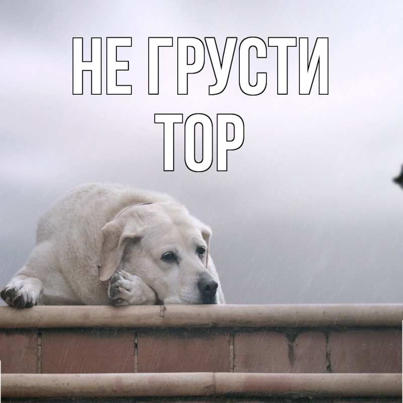 Картинка Не грусти, Тор