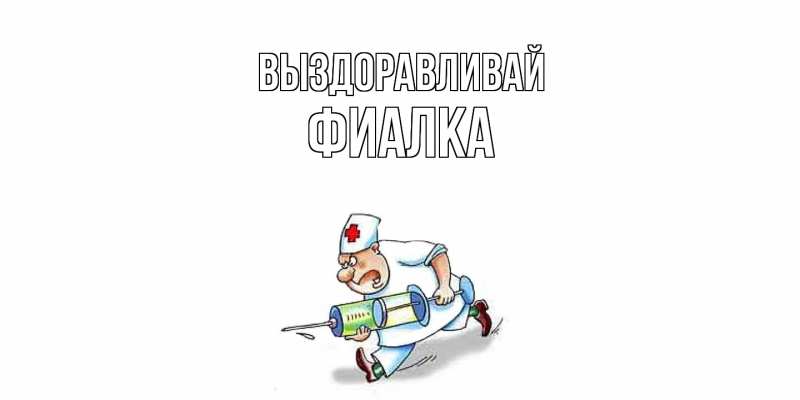 Картинка Выздоравливай, Фиалка