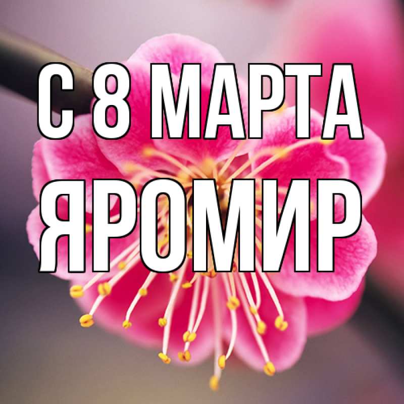 Картинка C 8 МАРТА, Яромир