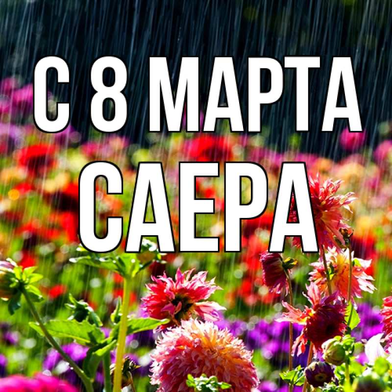 Картинка C 8 МАРТА, Саера