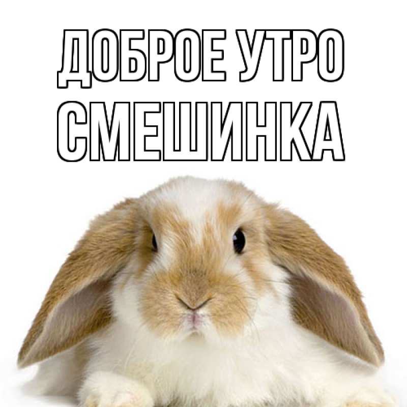 Картинка Доброе утро, Смешинка