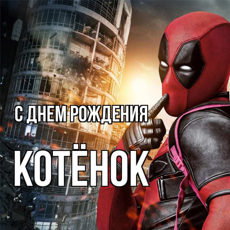 Картинка С днем рождения, Котёнок