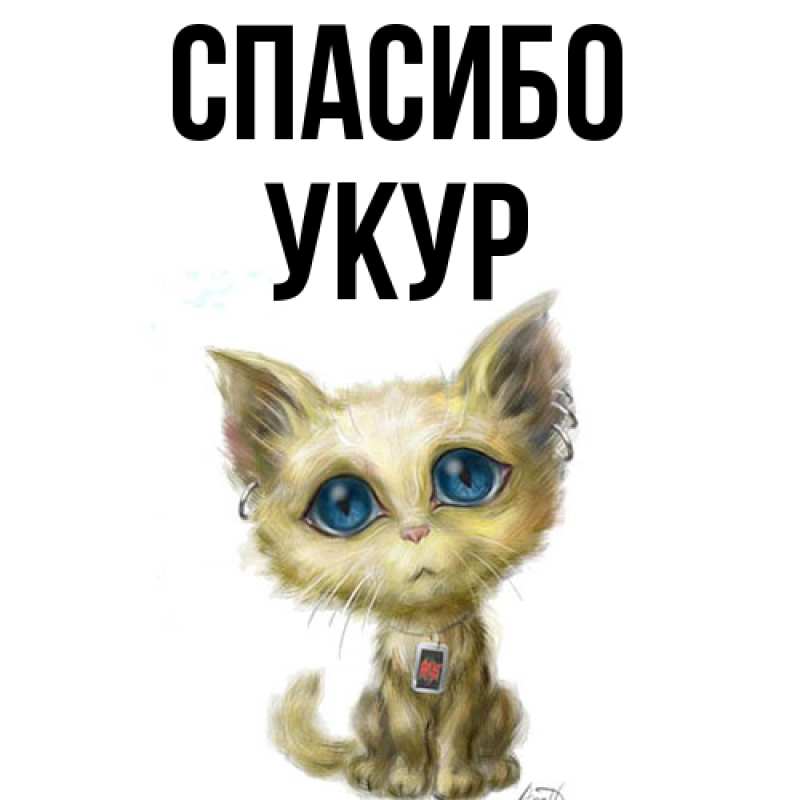 Картинка Спасибо, Укур