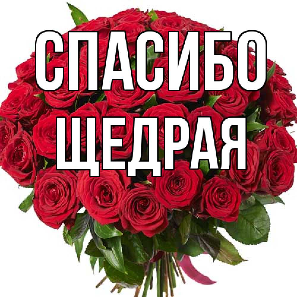 Открытка на каждый день с именем, Щедрая Спасибо букет красных роз Прикольная открытка с пожеланием онлайн скачать бесплатно 