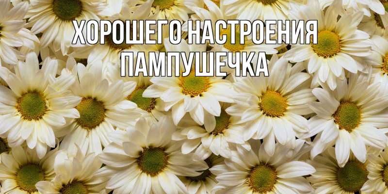 Картинка Хорошего настроения, пампушечка