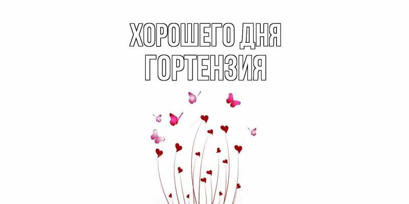 Картинка Хорошего дня, Гортензия