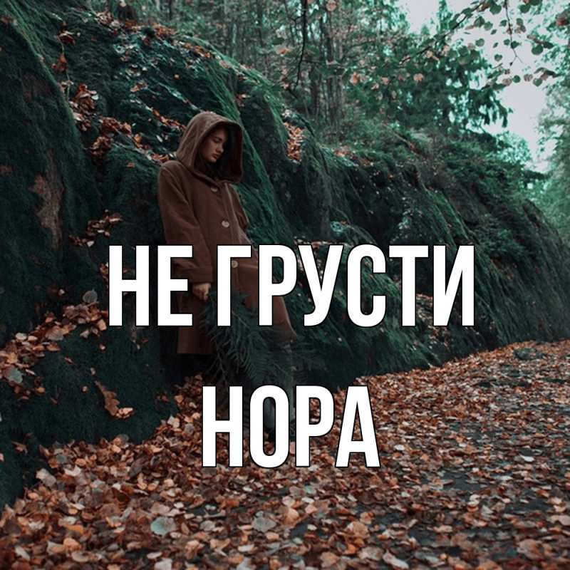 Картинка Не грусти, Нора
