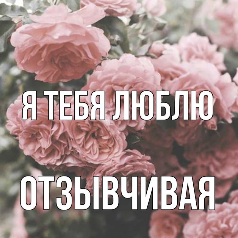 Картинка Я тебя люблю, Отзывчивая