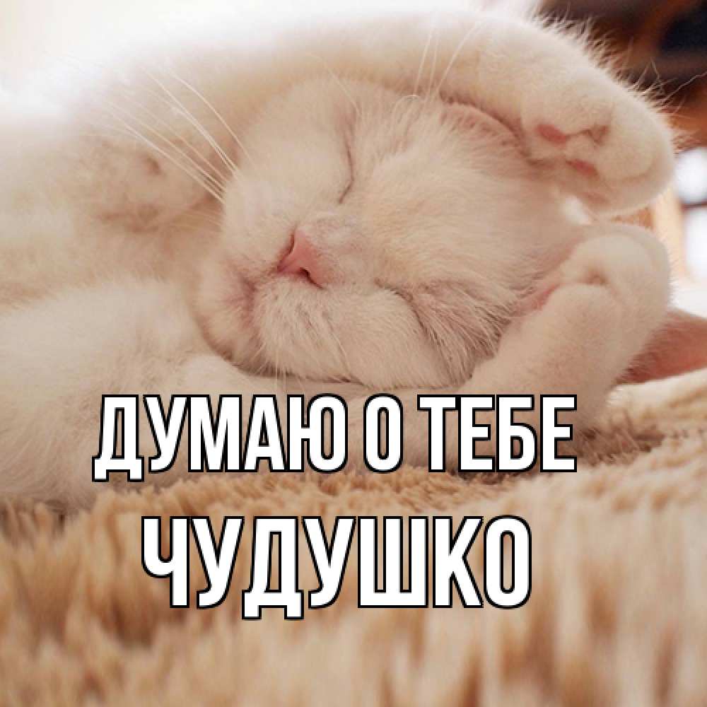 Открытка на каждый день с именем, Чудушко Думаю о тебе для любимой девушки милота Прикольная открытка с пожеланием онлайн скачать бесплатно 