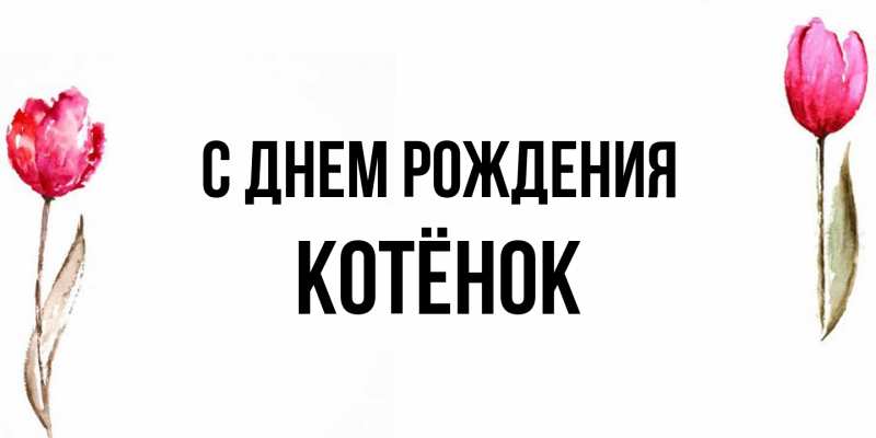 Картинка С днем рождения, Котёнок