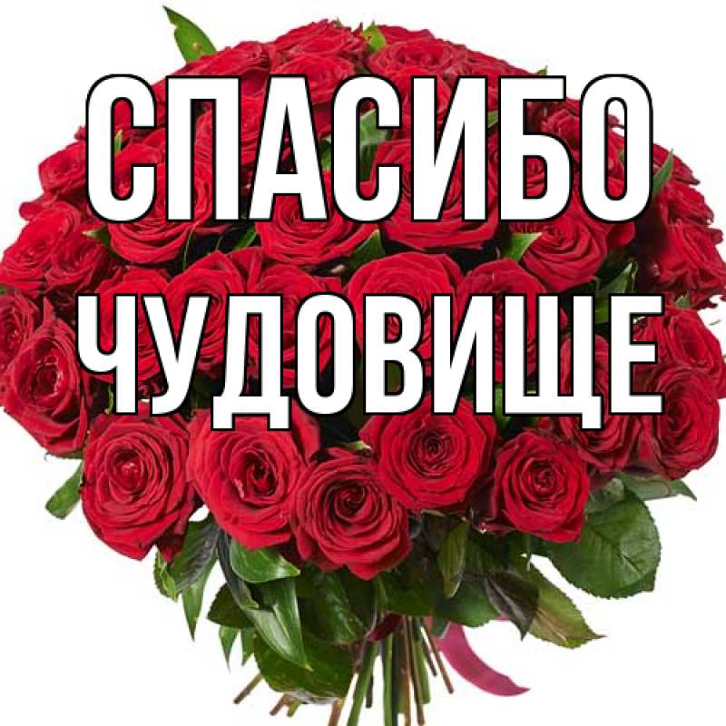 Картинка Спасибо, Чудовище