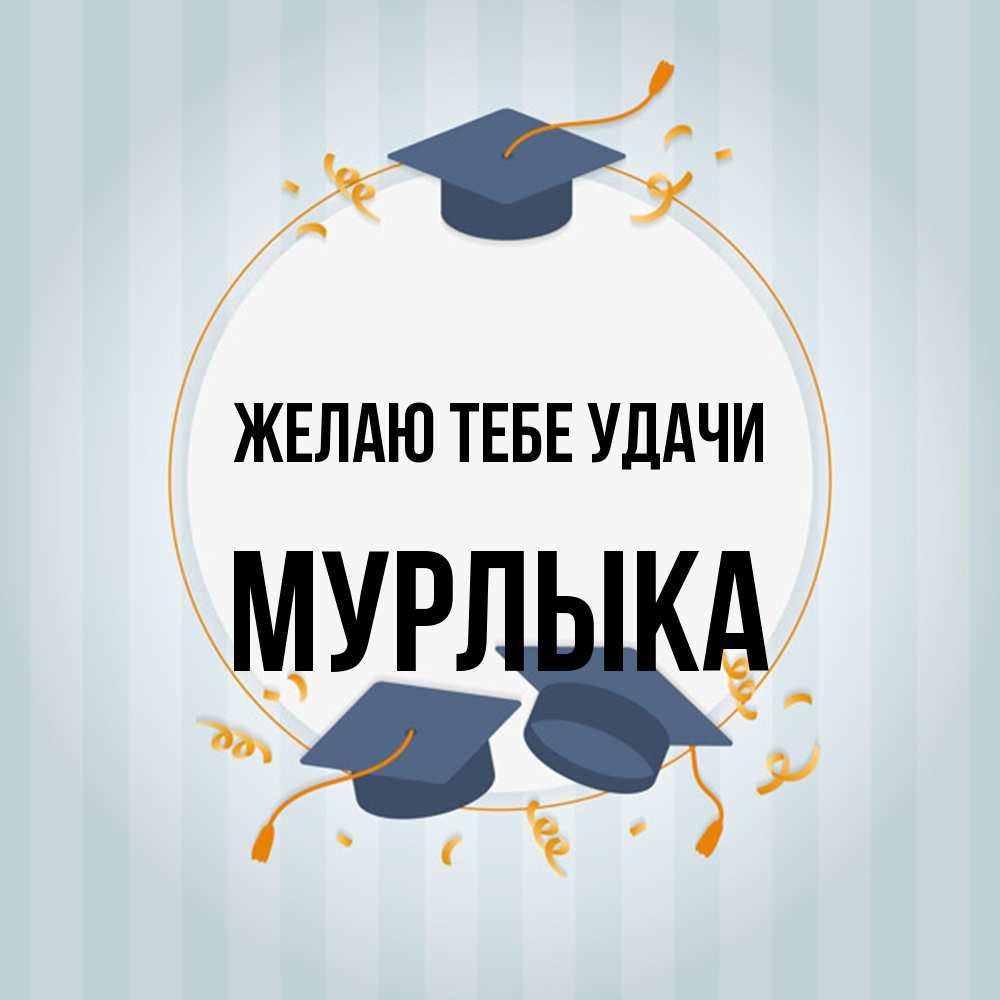 Открытка на каждый день с именем, мурлыка Желаю тебе удачи для студентов Прикольная открытка с пожеланием онлайн скачать бесплатно 
