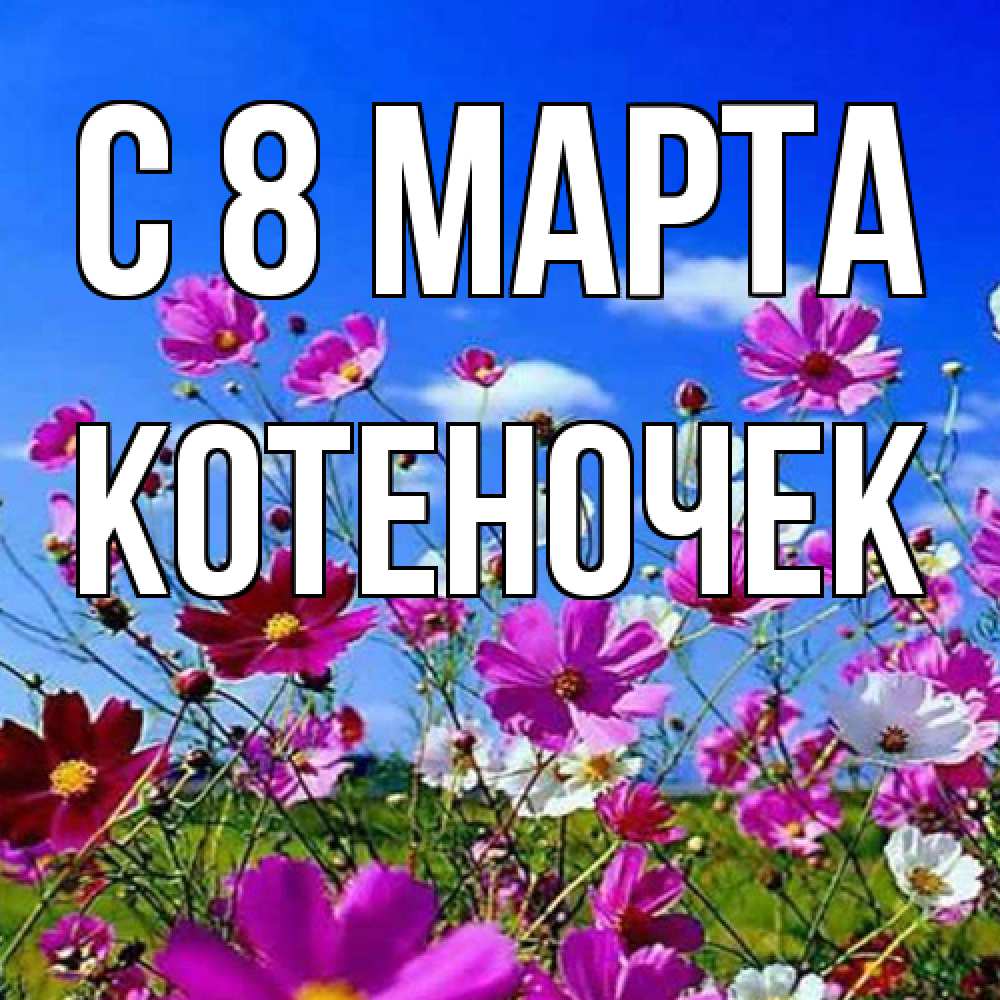 Открытка на каждый день с именем, Котеночек C 8 МАРТА цветы Прикольная открытка с пожеланием онлайн скачать бесплатно 