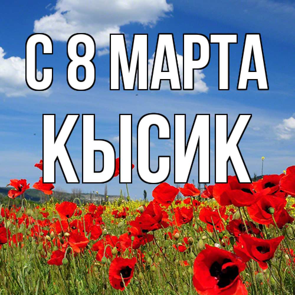 Открытка на каждый день с именем, Кысик C 8 МАРТА международный женский день 1 Прикольная открытка с пожеланием онлайн скачать бесплатно 