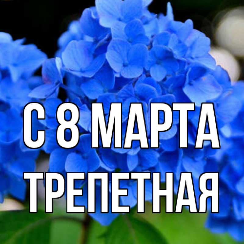 Картинка C 8 МАРТА, Тpепетная