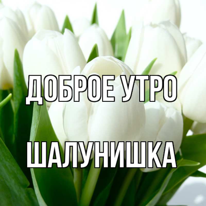 Картинка Доброе утро, шалунишка