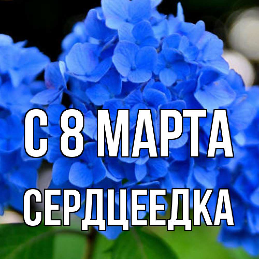 Открытка на каждый день с именем, сердцеедка C 8 МАРТА синие цветы Прикольная открытка с пожеланием онлайн скачать бесплатно 