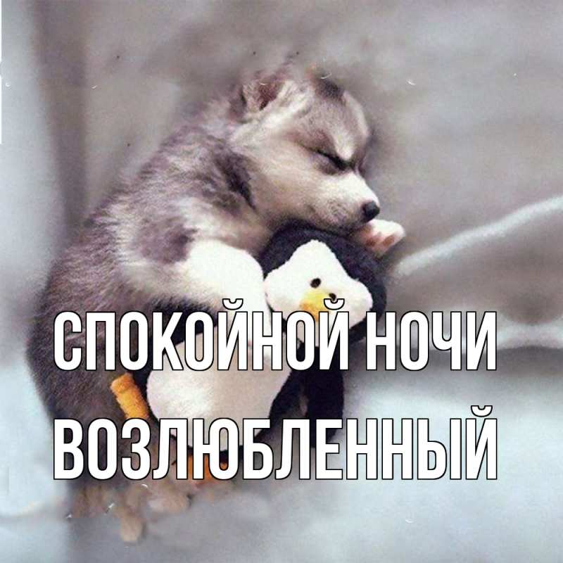 Картинка Спокойной ночи, Возлюбленный