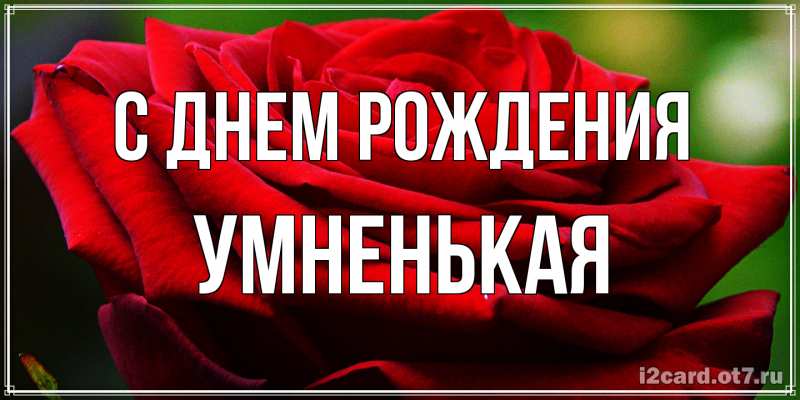 Картинка С днем рождения, Умненькая