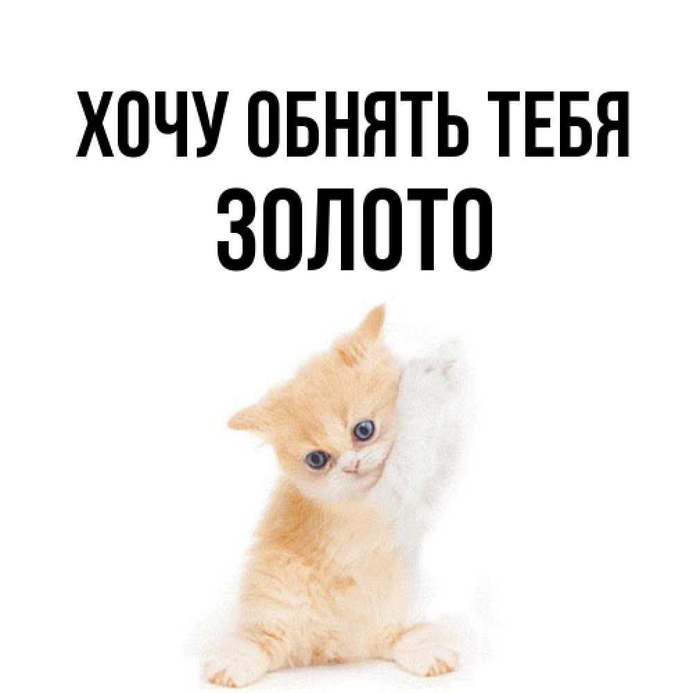 Открытка на каждый день с именем, Золото Хочу обнять тебя я хочу очень скорее обнимаешек Прикольная открытка с пожеланием онлайн скачать бесплатно 