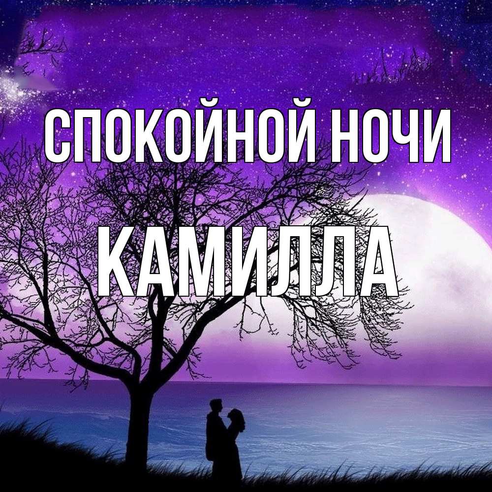 Открытка на каждый день с именем, Камилла Спокойной ночи огромная луна и парочка Прикольная открытка с пожеланием онлайн скачать бесплатно 