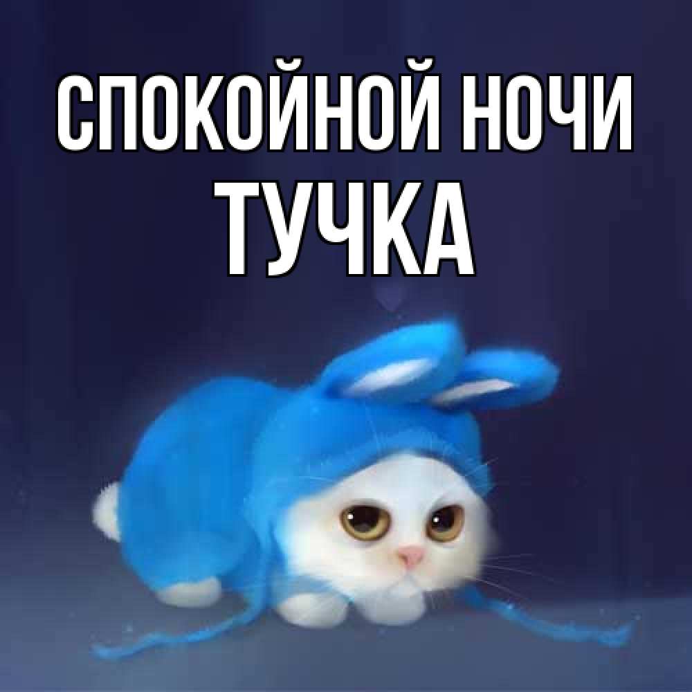 Открытка на каждый день с именем, Тучка Спокойной ночи кот в голубом костюме кролика с ушками Прикольная открытка с пожеланием онлайн скачать бесплатно 