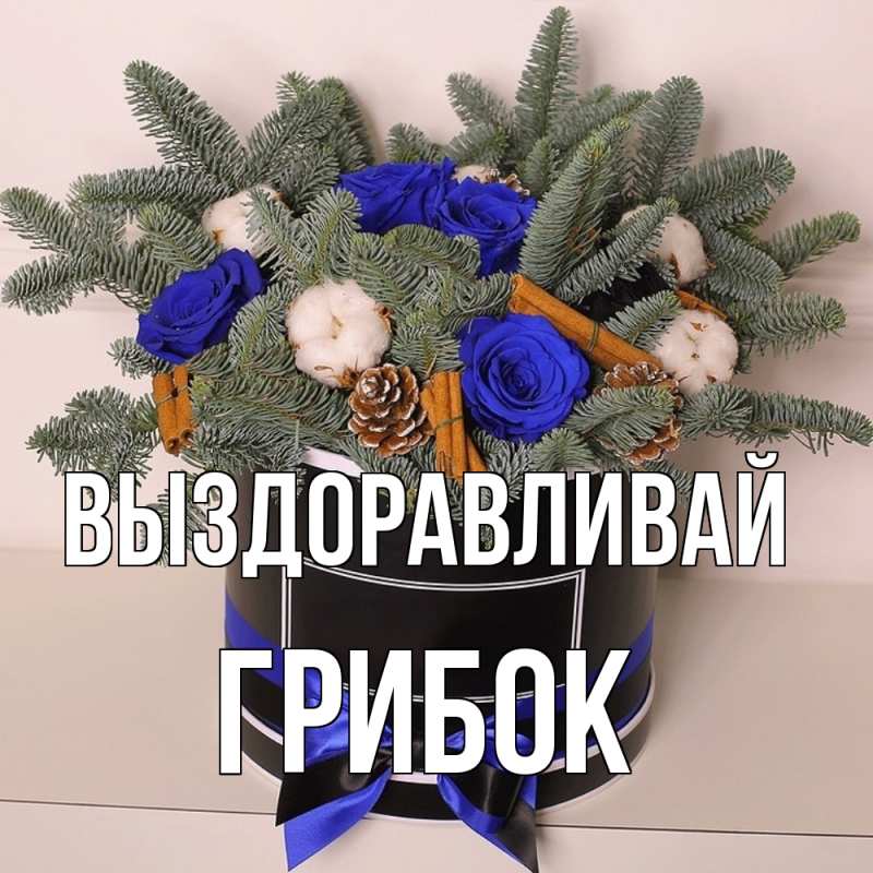 Картинка Выздоравливай, Грибок