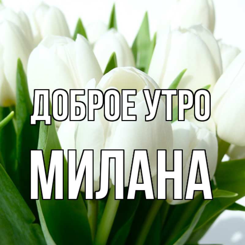 Картинка Доброе утро, Милана