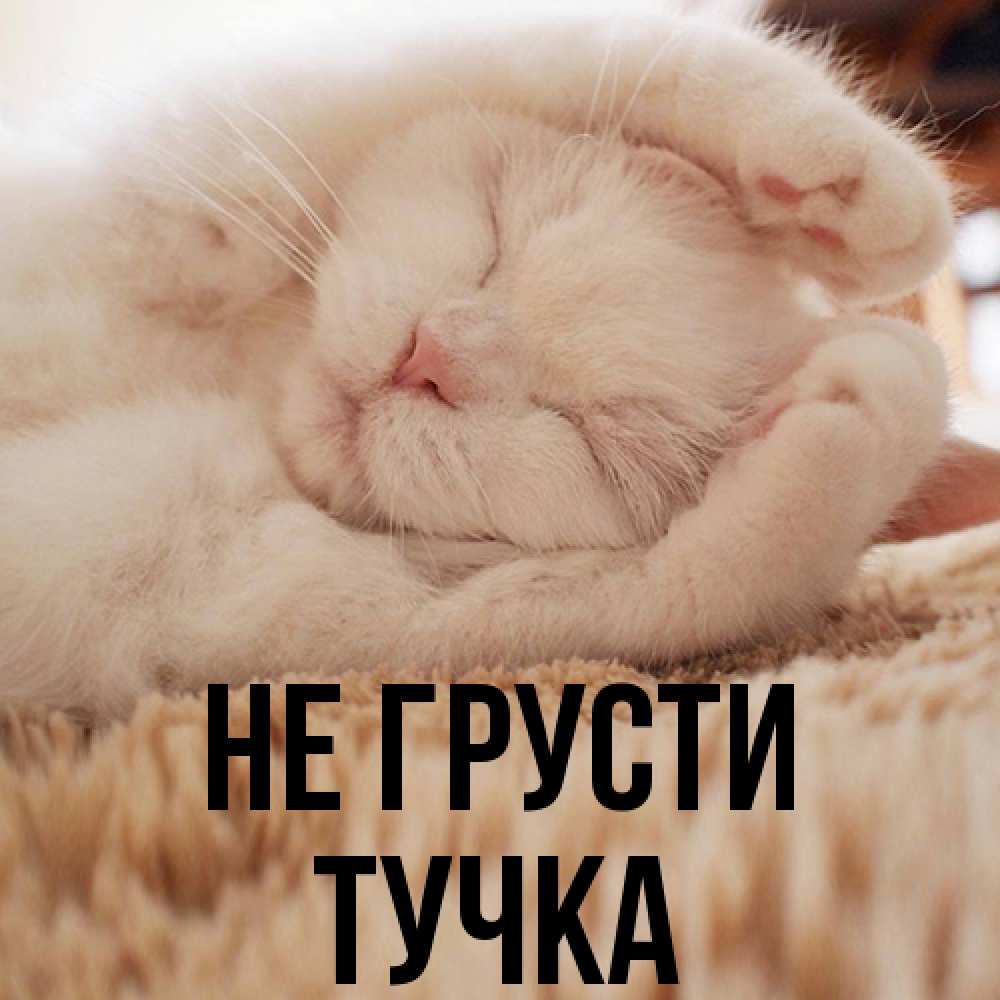 Открытка на каждый день с именем, Тучка Не грусти Котенок спит Прикольная открытка с пожеланием онлайн скачать бесплатно 