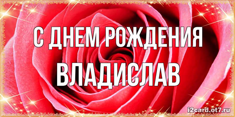 Открытка на каждый день с именем, Владислав С днем рождения розовая роза очень крупный бутон Прикольная открытка с пожеланием онлайн скачать бесплатно 