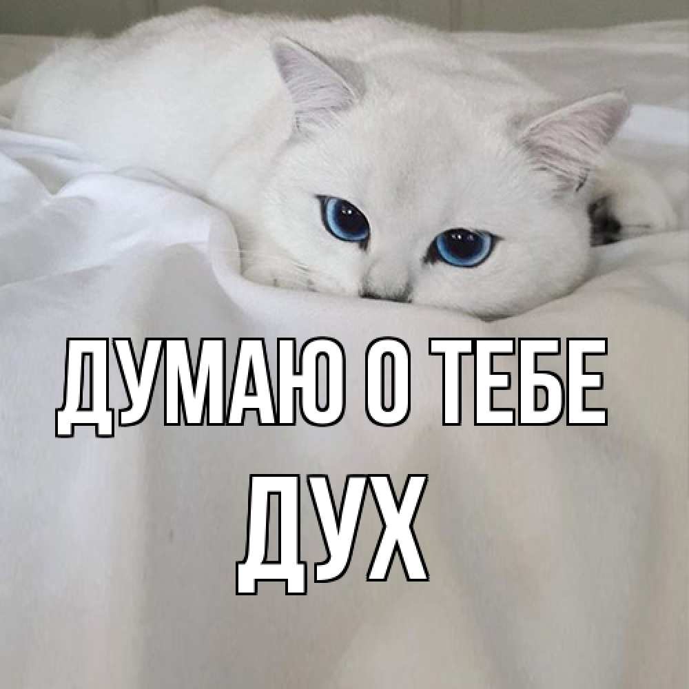 Открытка на каждый день с именем, Дух Думаю о тебе я очень по тебе скучаю и тоскую Прикольная открытка с пожеланием онлайн скачать бесплатно 