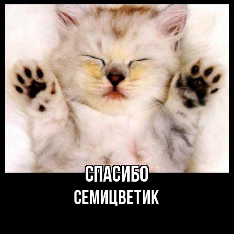 Картинка Спасибо, семицветик