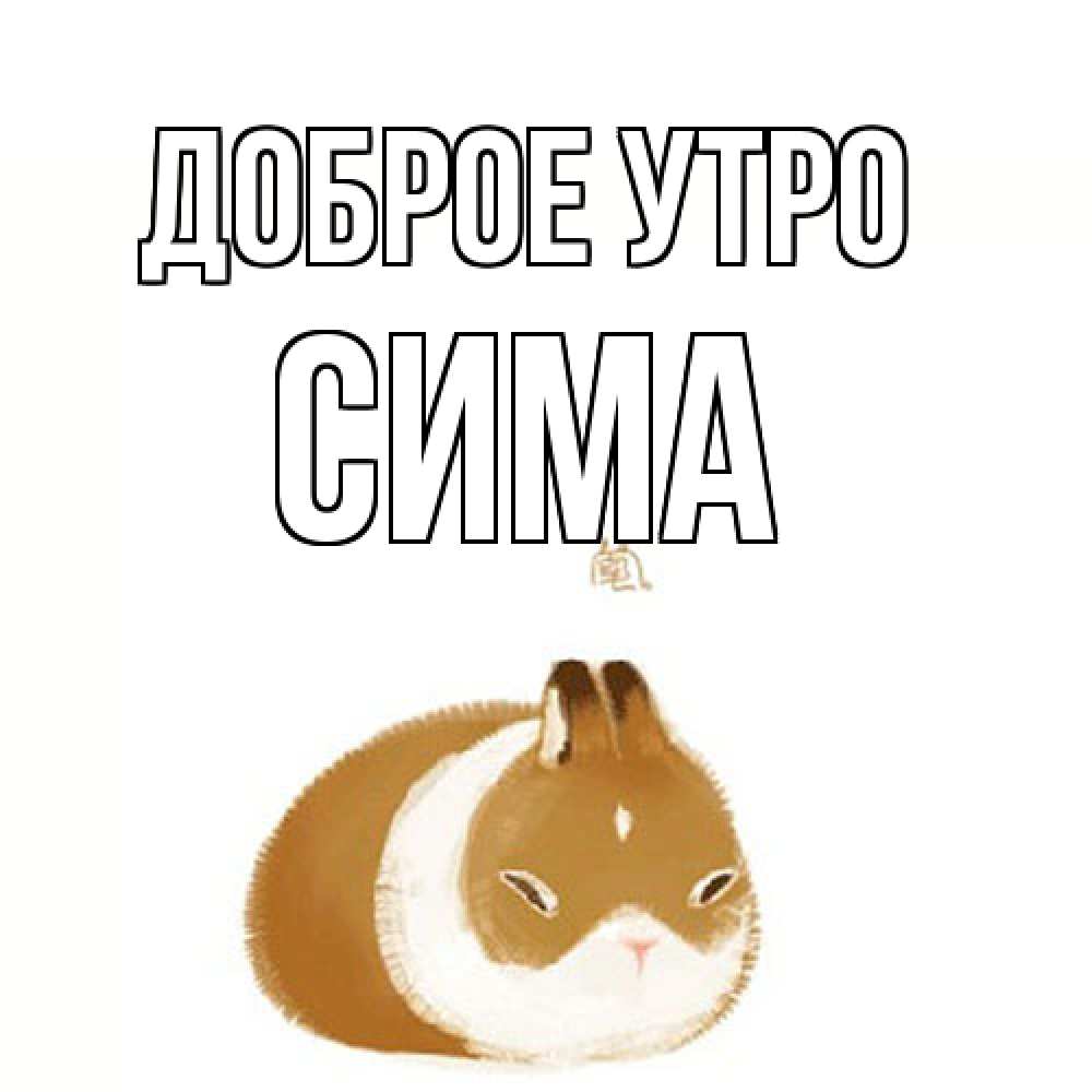 Открытка на каждый день с именем, Сима Доброе утро хорошего утречка Прикольная открытка с пожеланием онлайн скачать бесплатно 