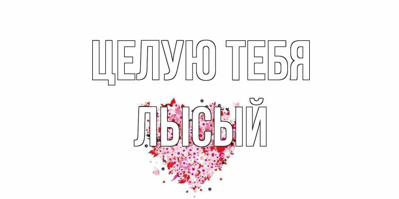 Картинка Целую тебя, Лысый