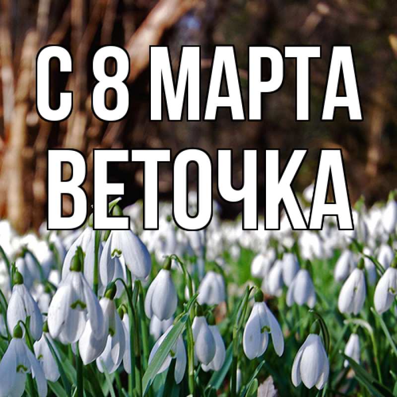 Картинка C 8 МАРТА, Веточка