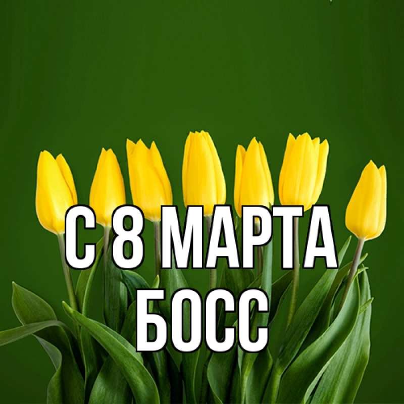 Картинка C 8 МАРТА, Босс