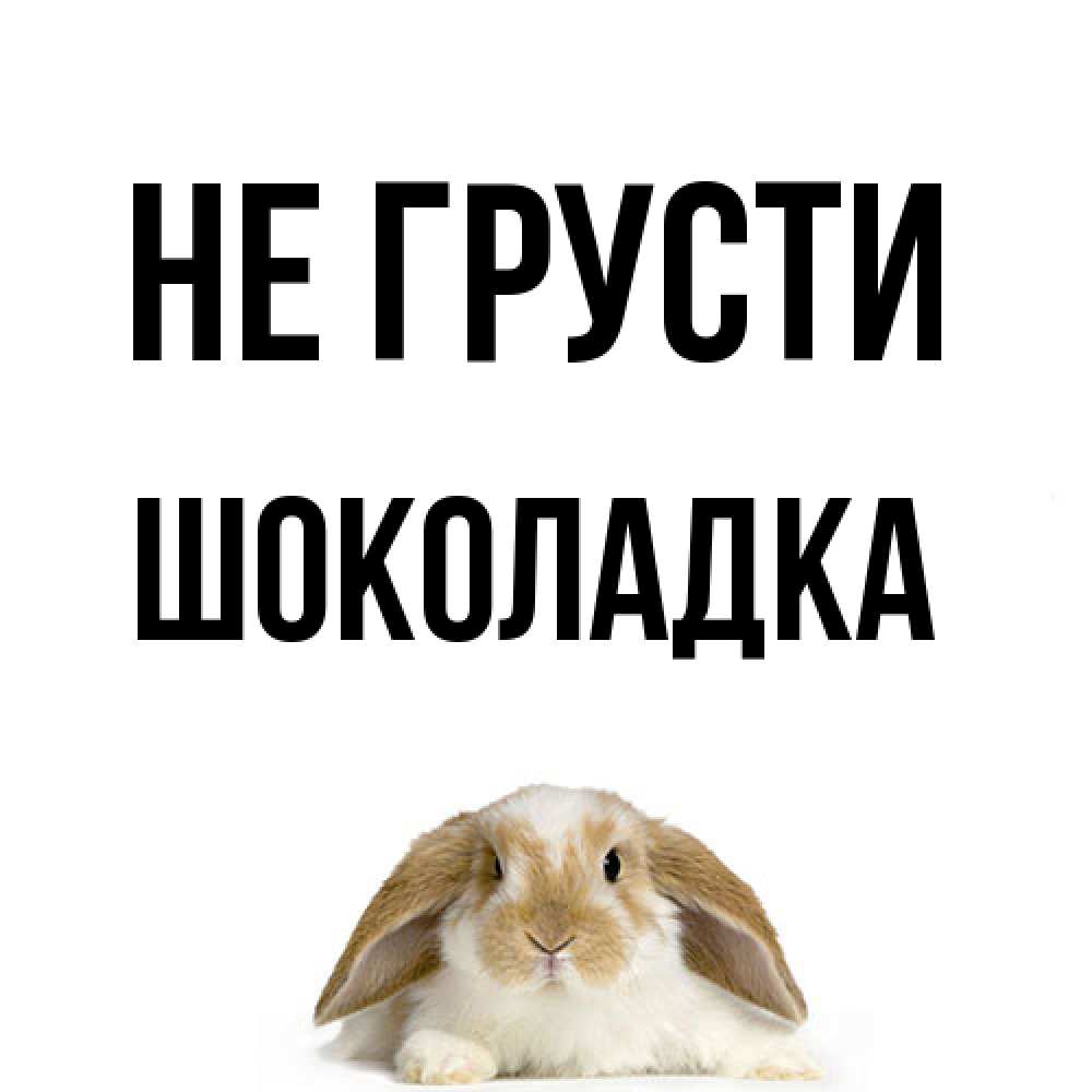 Открытка на каждый день с именем, Шоколадка Не грусти коричнево белый заяц с большими ушками Прикольная открытка с пожеланием онлайн скачать бесплатно 