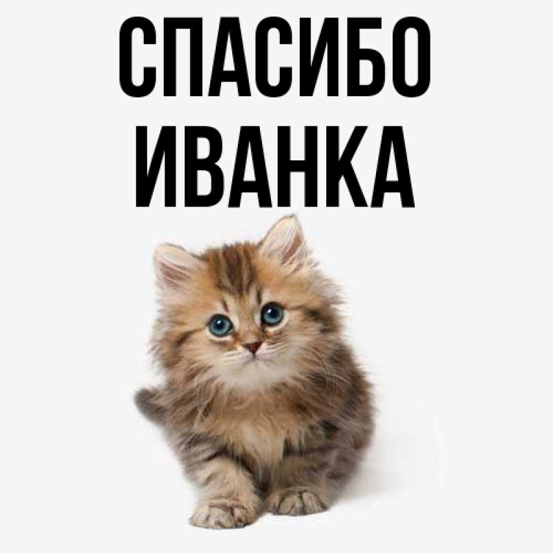 Картинка Спасибо, Иванка