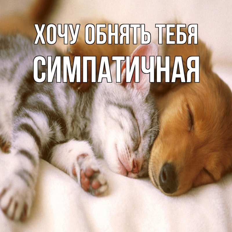 Картинка Хочу обнять тебя, симпатичная
