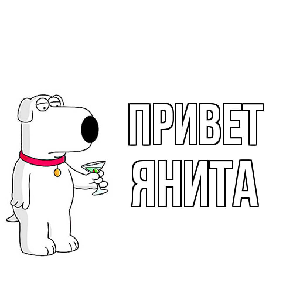 Открытка на каждый день с именем, Янита Привет собака и коктейль Прикольная открытка с пожеланием онлайн скачать бесплатно 