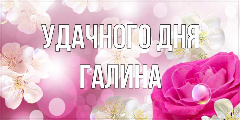 Открытка с именем, галина, Удачного дня