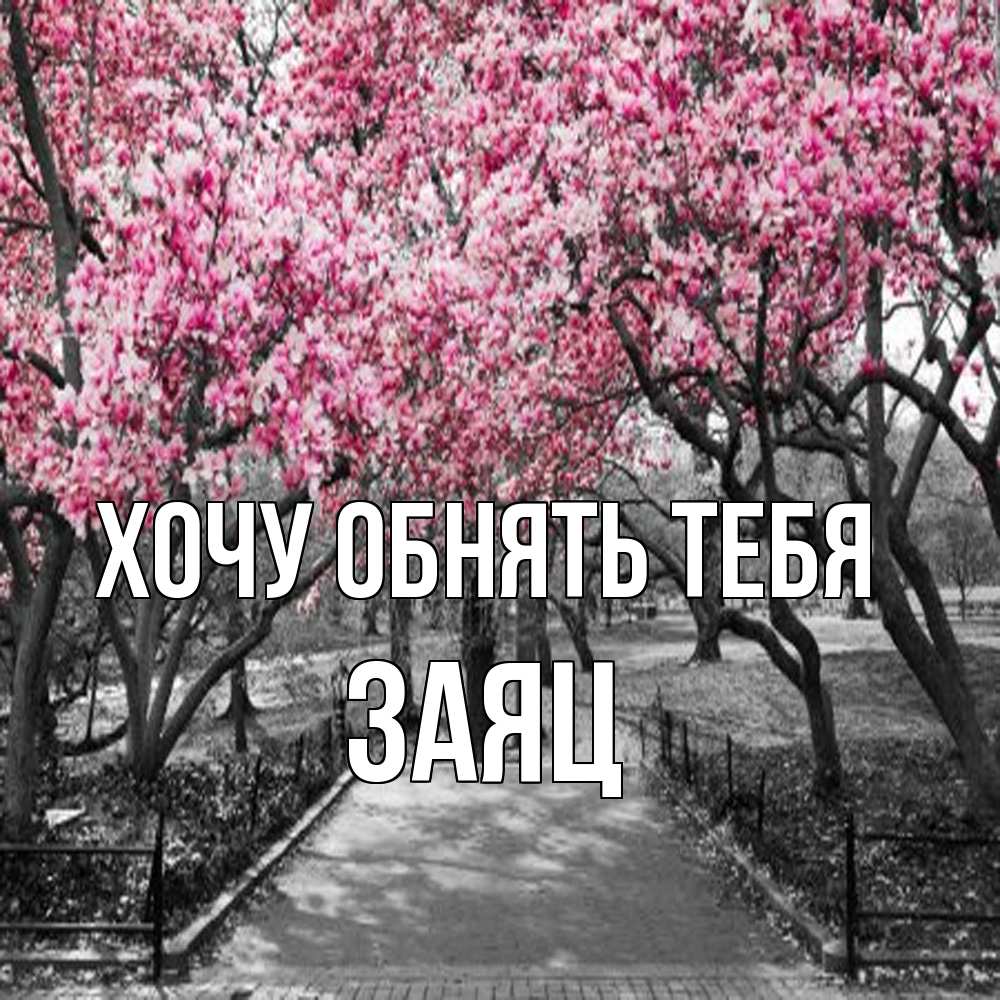 Открытка на каждый день с именем, Заяц Хочу обнять тебя обработанное фото Прикольная открытка с пожеланием онлайн скачать бесплатно 