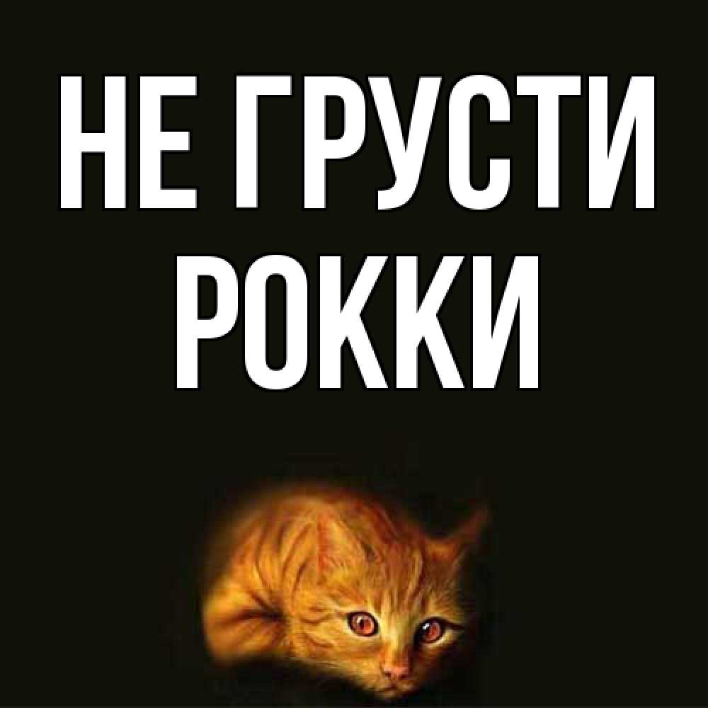 Открытка на каждый день с именем, Рокки Не грусти лежащий кот в темноте Прикольная открытка с пожеланием онлайн скачать бесплатно 