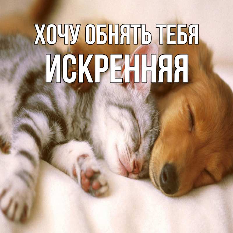 Картинка Хочу обнять тебя, Искренняя